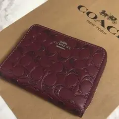 Item thumbnail for item f44459a9-7e4b-433e-b339-ed50ece23e63