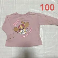 パウパト　スカイ　ロンT 100