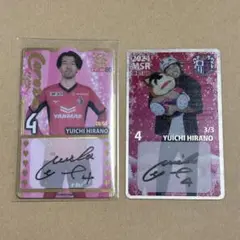 セレッソ大阪　平野佑一　オンサイト　サインカードセット