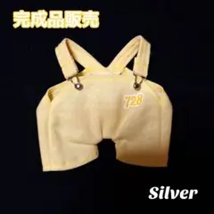 Item thumbnail for item 41c384e3-2d78-4be1-9672-a7f35f3e55e8