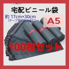 Item thumbnail for item 82ccbadf-ccdd-4ee2-8a60-d198c6964439