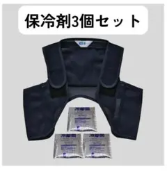Item thumbnail for item b90831e7-0022-4fc5-9009-961e2cab76d0
