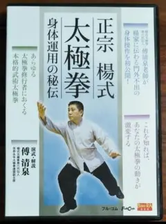 太極拳 正宗 楊式太極拳 身体運用の秘伝 DVD 美品