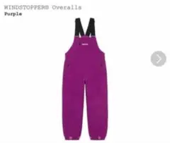 2025年最新】supreme windstopper overallsの人気アイテム