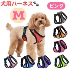 Item thumbnail for item 886b953f-a7b3-46b2-8eb2-bbe5f580d0ad