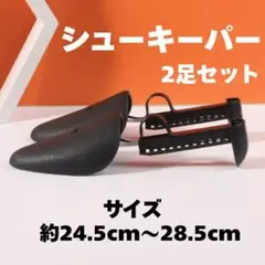 Item thumbnail for item 0d84d5dc-88cf-4ce5-a403-70d2d6a33e65