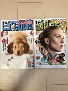 ビッグコミックオリジナル　8/20 ビッグコミック　8/25 2冊まとめて