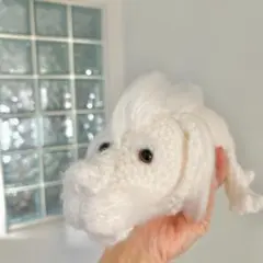 パープル猫さん専用ページ