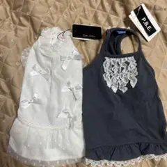 Item thumbnail for item d7cd04b3-9fe8-4b49-8692-07bae3da95b4