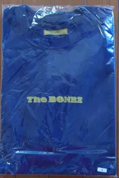 Item thumbnail for item dac1bead-cae9-44d4-b247-f4fe6e42afb2