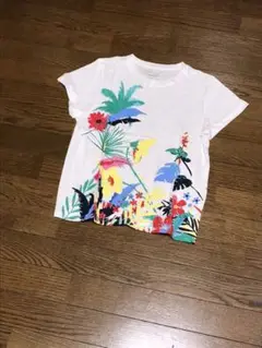 未使用　Tシャツ　バナナリパブリック　白　柄