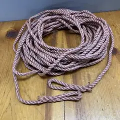 Item thumbnail for item af665e6d-0468-49a3-8698-956607278a78