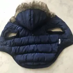 Item thumbnail for item 7dcc47af-7ef8-492d-aa56-a5221d1a028a