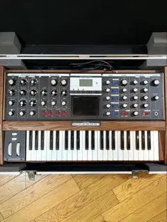 2025年最新】MOOG MINIMOOGの人気アイテム - メルカリ