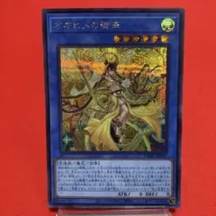 遊戯王　オオヒメの御巫 シークレットレア ⑧