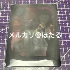家庭教師ヒットマンREBORN!　チェンジングカード　レトロ　リボーン　ザンザス