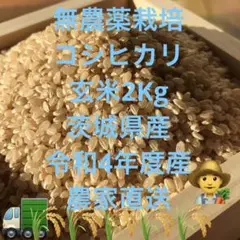 無農薬栽培 コシヒカリ玄米 茨城県産 令和4年度産