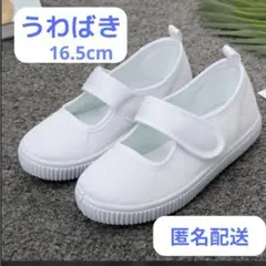 うわばき　マジックテープ式 16.5cm 新学期準備