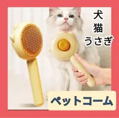 Item thumbnail for item 0d7ced27-852c-46f8-b252-9ee61e3abf3c