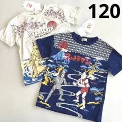 新品　バンダイ　ウルトラマン　ウルトラセブン　半袖　Tシャツ　セット　120