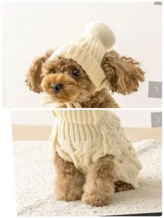 Item thumbnail for item 2afd8574-9d78-4567-b0ac-38c76392787b