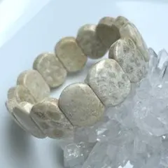 フォッシルコーラル 天然石 ゴムバングル クリーム