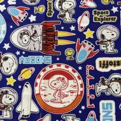約縦48×50㎝　SNOOPY シーチング　生地　はぎれ