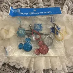 東京ディズニーリゾート ミッキーマウスキーホルダーセット 25