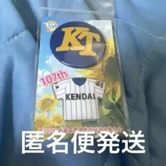 第107回全国高校野球選手権大会　健大高崎　ユニフォームピンズ&帽子ロゴバッジ