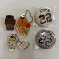 ジャイアンツ 小林誠司 リスガコバ 缶バッジ アクリルキーホルダー