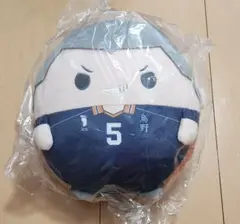 ハイキュー ふわコロりん Msize 田中