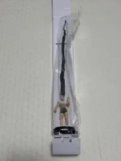 【プレバン正規品】ゴンさんHUNTER×HUNTER フィギュア