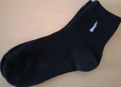 Item thumbnail for item 772c6eee-056b-4b28-b124-cd8d2fa912d3