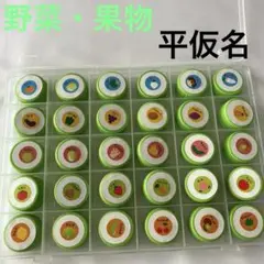 野菜　果物　食べ物　平仮名　イラスト　絵合わせ　ペットボトルキャップ マッチング