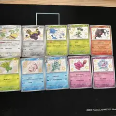 色違いセット