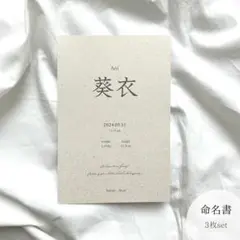 ❁⃘ 命名書 つぶつぶ 3枚セット ハガキサイズ(A4へ変更追加可) 淡色