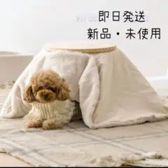 Item thumbnail for item 5d09484b-383f-4474-a18a-1ebf183253c9