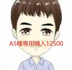 A5 樣専用購入12500