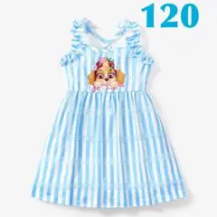 パウパトロール スカイ 水色 ドレス ワンピース