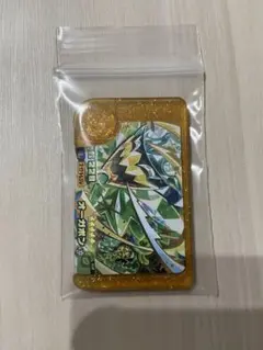 ポケモンフレンダ　レガシーピック　オーガポン