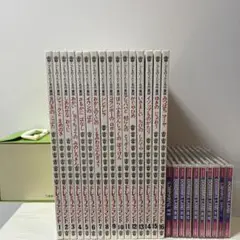 ★美品 超希少品★世界文化社 ドレミファランド★絵本16冊,CD11枚,BOX付 世界文化社 ドレミファランド 全巻16冊 教育本 子供 こども 音楽