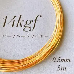 Item thumbnail for item f8d58b2b-5f8d-406f-9b10-6ca30a14cfd8