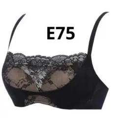 Item thumbnail for item 667a2601-4715-4670-a744-c1a44963e289