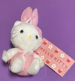 ⭐️限定200個⭐️ ハローキティ BIGサイズ ぬいぐるみ リゾート