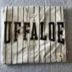オリックスバファローズ BUFFALOE ユニフォーム Lサイズ