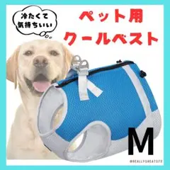 Item thumbnail for item 3b9249de-27ba-405c-bd0c-57de3a3a66a1