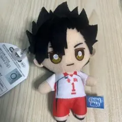 ハイキュー　黒尾 chibiぬい　ちびぬいぐるみ