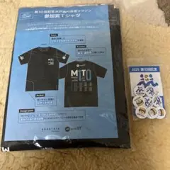 Item thumbnail for item 3289ba05-b03c-409a-b0ad-0e0078b620f4