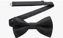 Item thumbnail for item 9c995003-8e7a-430d-aca0-cd79004592c9