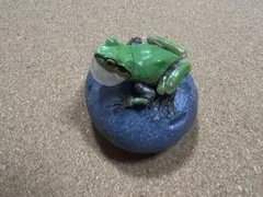 いきもの大図鑑アドバンス アマガエル　緑色